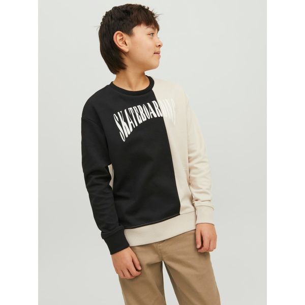Світшот JACK & JONES Junior Skater р. 14 років (164см) J & J Junior Skater Sweatshirt фото