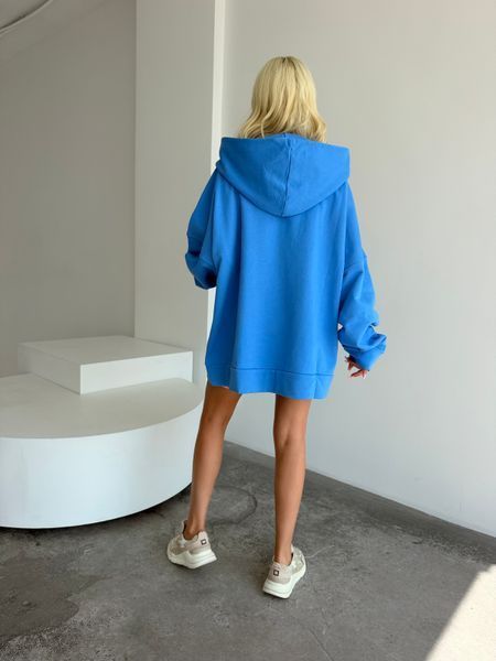 Фуді Artists Proof kris hudi blue фото