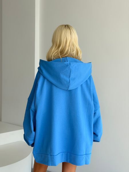 Фуді Artists Proof kris hudi blue фото